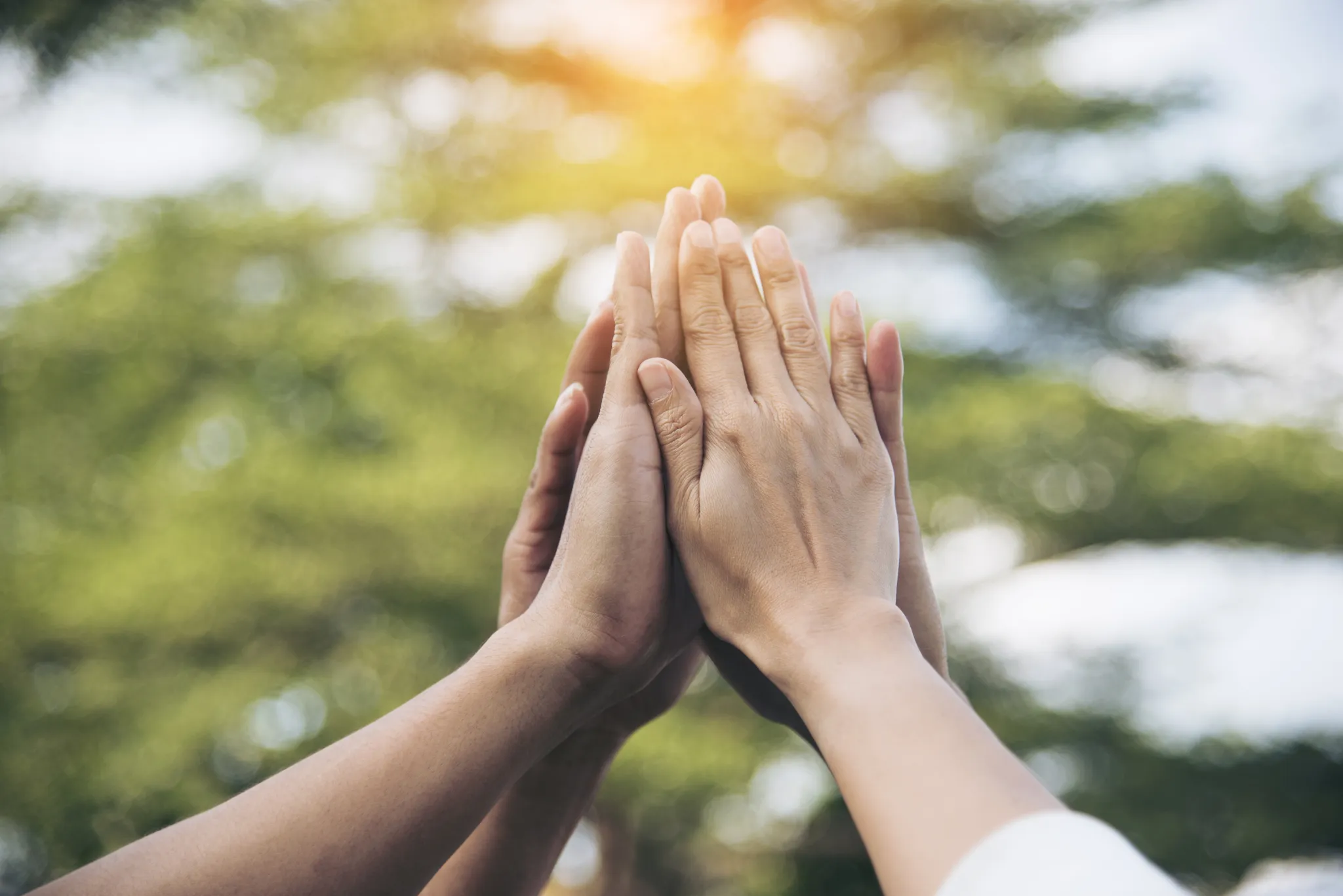 Vier handen geven elkaar een high five met bomen op de achtergrond.